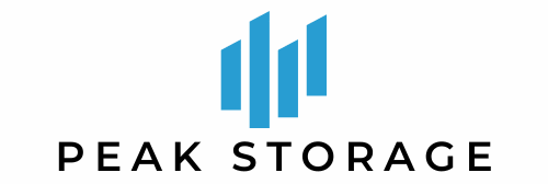 Logo Ps